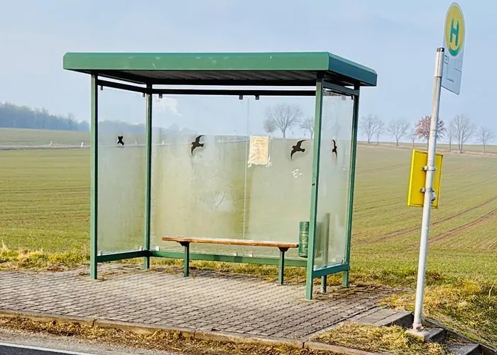 Apartment Berzi 1 Gorlitz